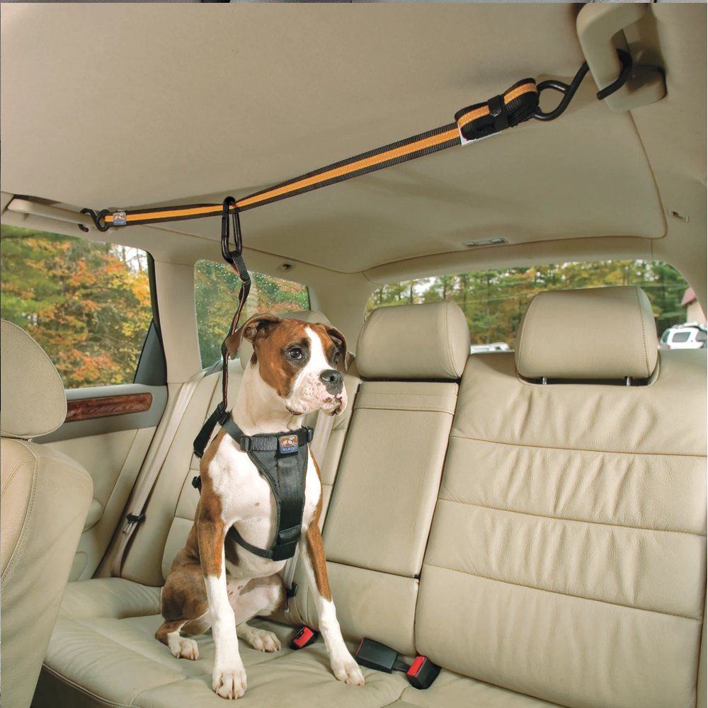 Kurgo Auto Zip Line Car Seatbelt For Dogs