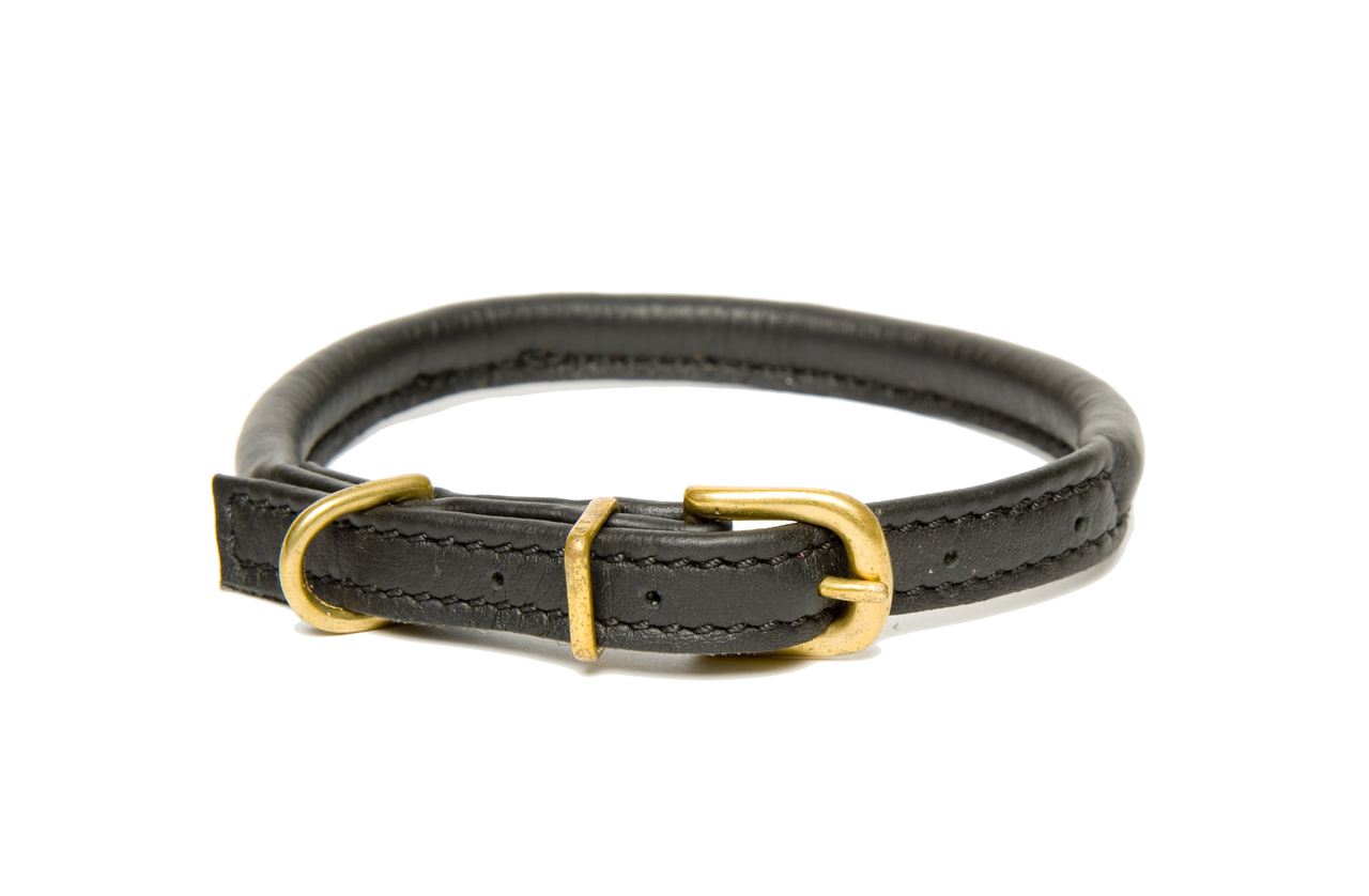 D&H Classic Rolled Leather dog collar in Black