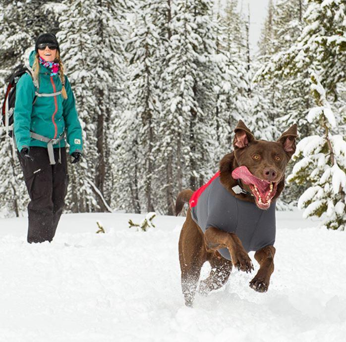 Ruffwear Powder Hound Hybrid Insulated Dog Jacket For Active Dogs