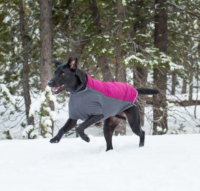Ruffwear Powder Hound Hybrid Insulated Dog Jacket with Full Body Coverage