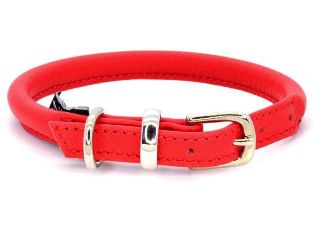 D&H Contemporary Rolled Leather Dog Collar red