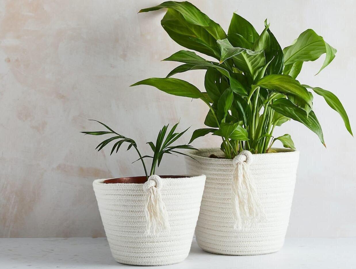 Best Indoor Plant Pots Hangers For Your Houseplants Wearth