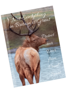 front cover of notebook with painted image of a stag next to a river. Title shows not everything in britain is great protect our deer from cruel sport.