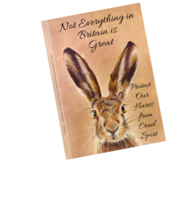 watercolour picture of a brown hair from the shoulders up on a light brown water colour effect background. Title reads Not everything in britain is great protect our hares from cruel sport