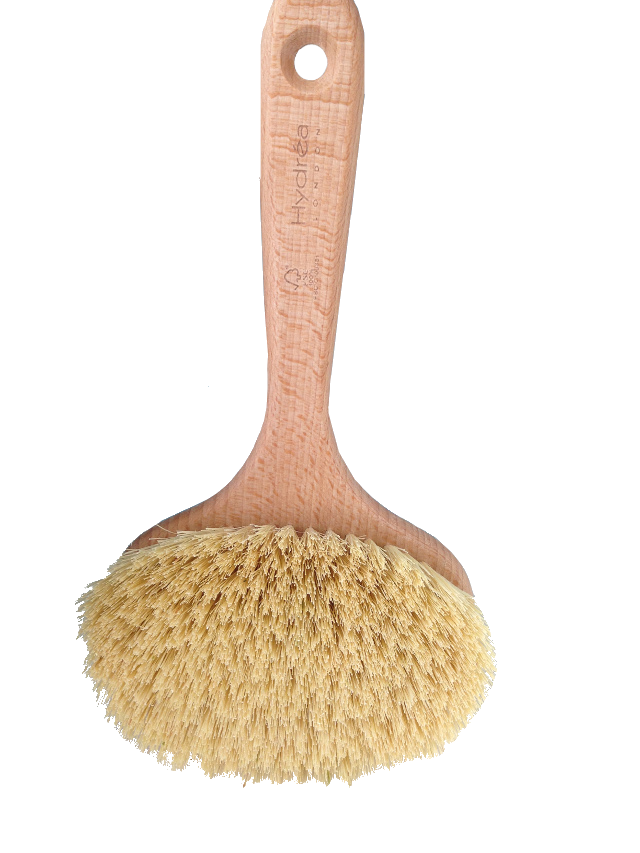 A natural light wood colour beechwood body brush, short handle, oval brush head with long cream bristles