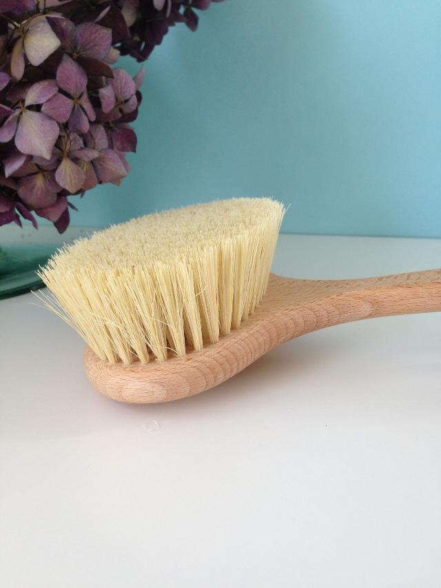 Side view of dry body brush showing deep cream cactus bristles and natural beechwood handle.