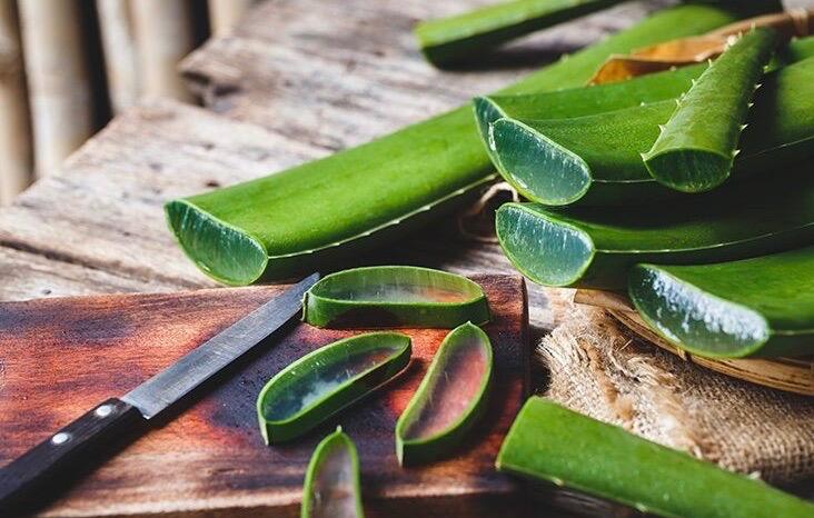 The Shocking Truth About Aloe Vera (And How to Remove the Latex)
