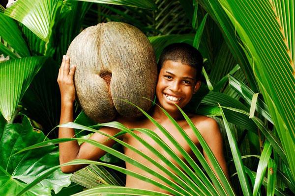 Life Beyond The Coconut