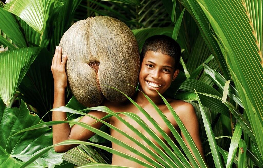 Life Beyond The Coconut