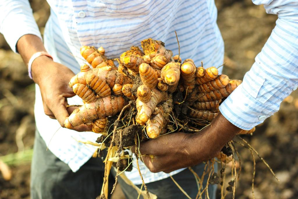 The Teeth Whitening Properties of This Fresh Root are Unbelievable: The Fresh, Potent, Enzymatic Method