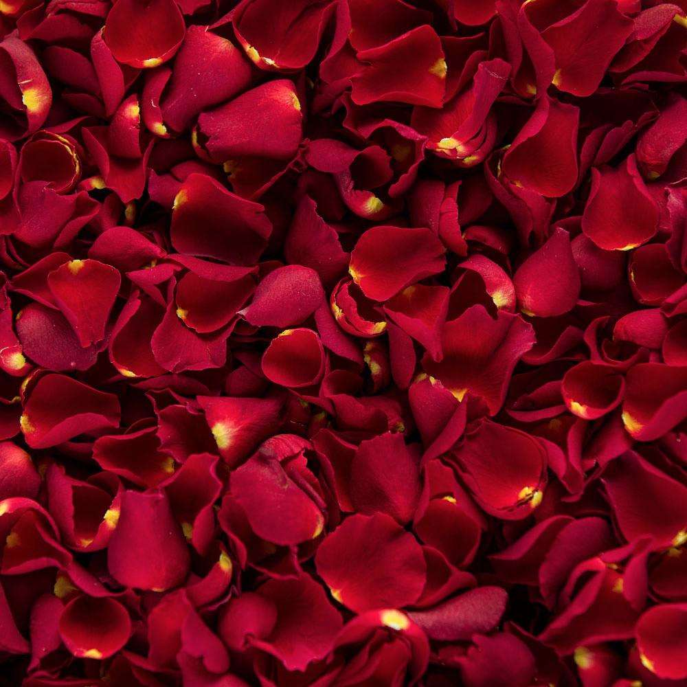 Red Rose petal confetti