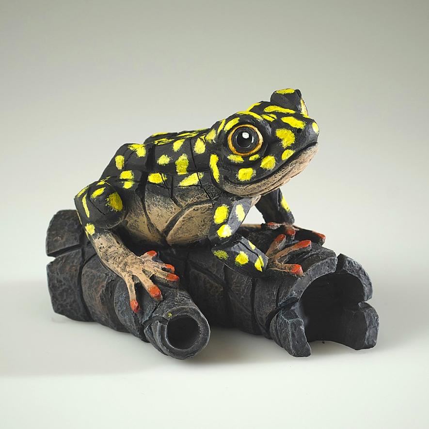 African Tree Frog - Yellow Spot - EDGE Sculpture ED43YS - Matt Buckley