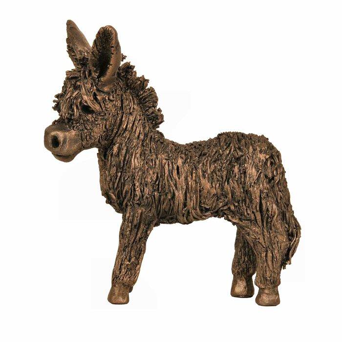 Donkey Foal standing (VB053) by Veronica Ballan