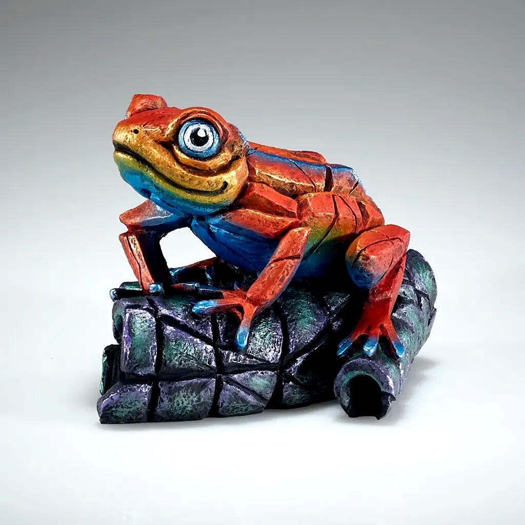 African Tree Frog - Tropical Tangerine - EDGE Sculpture ED43TT - Matt Buckley