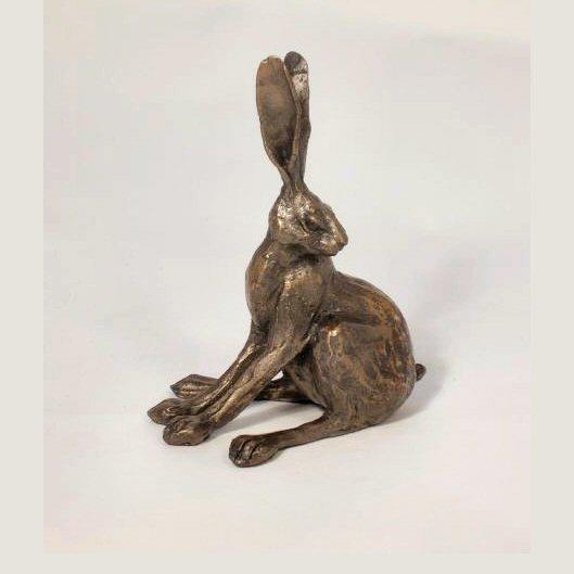 Hare Alert (SA004) by Paul Jenkins