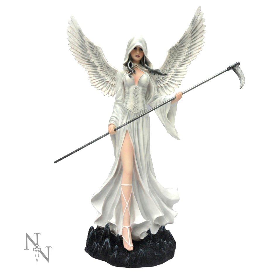 Nemesis Now Sorrel Fairy Figurine D2456G6 - Giftware from Hillier Jewellers  UK