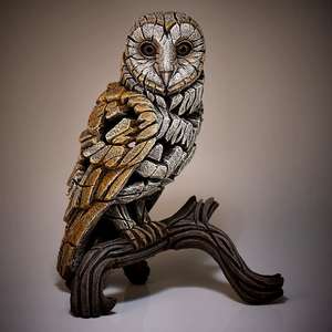 Barn Owl ED25 EDGE by Matt Buckley