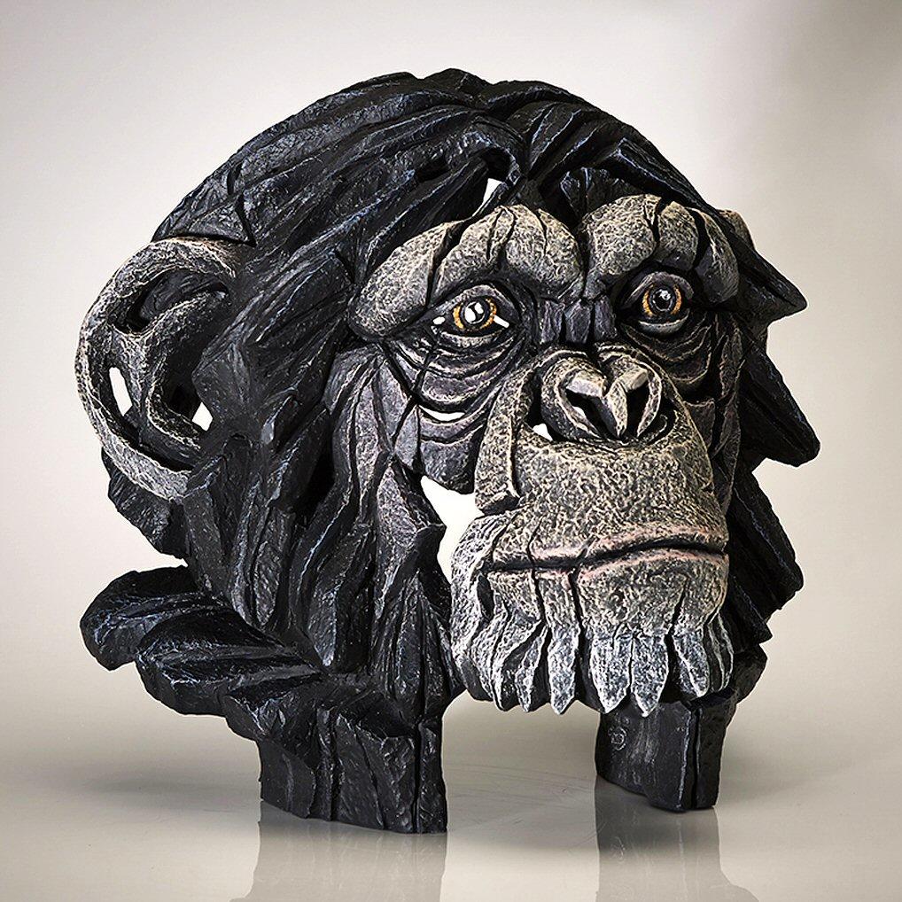Chimpanzee Bust EDB12 EDGE by Matt Buckley