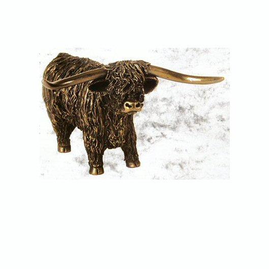 Highland Bull Standing (VB010) by Veronica Ballan