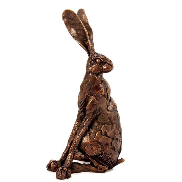 Sitting Hare - Looking Back (PJ028) by Paul Jenkins