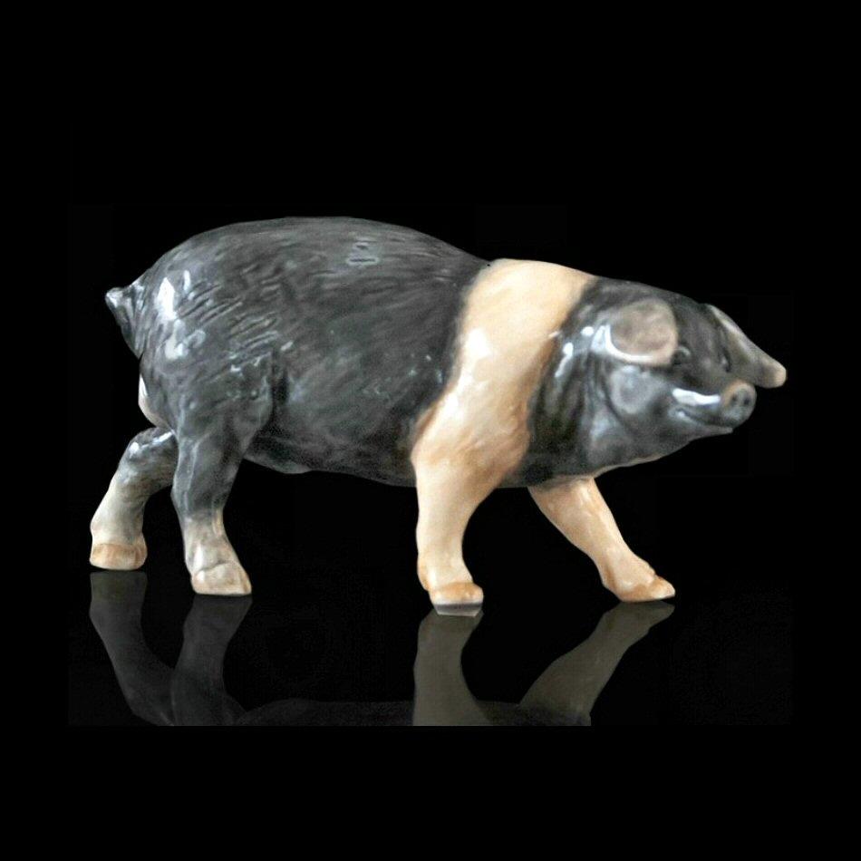 Pig (114BC) - by Keith Sherwin