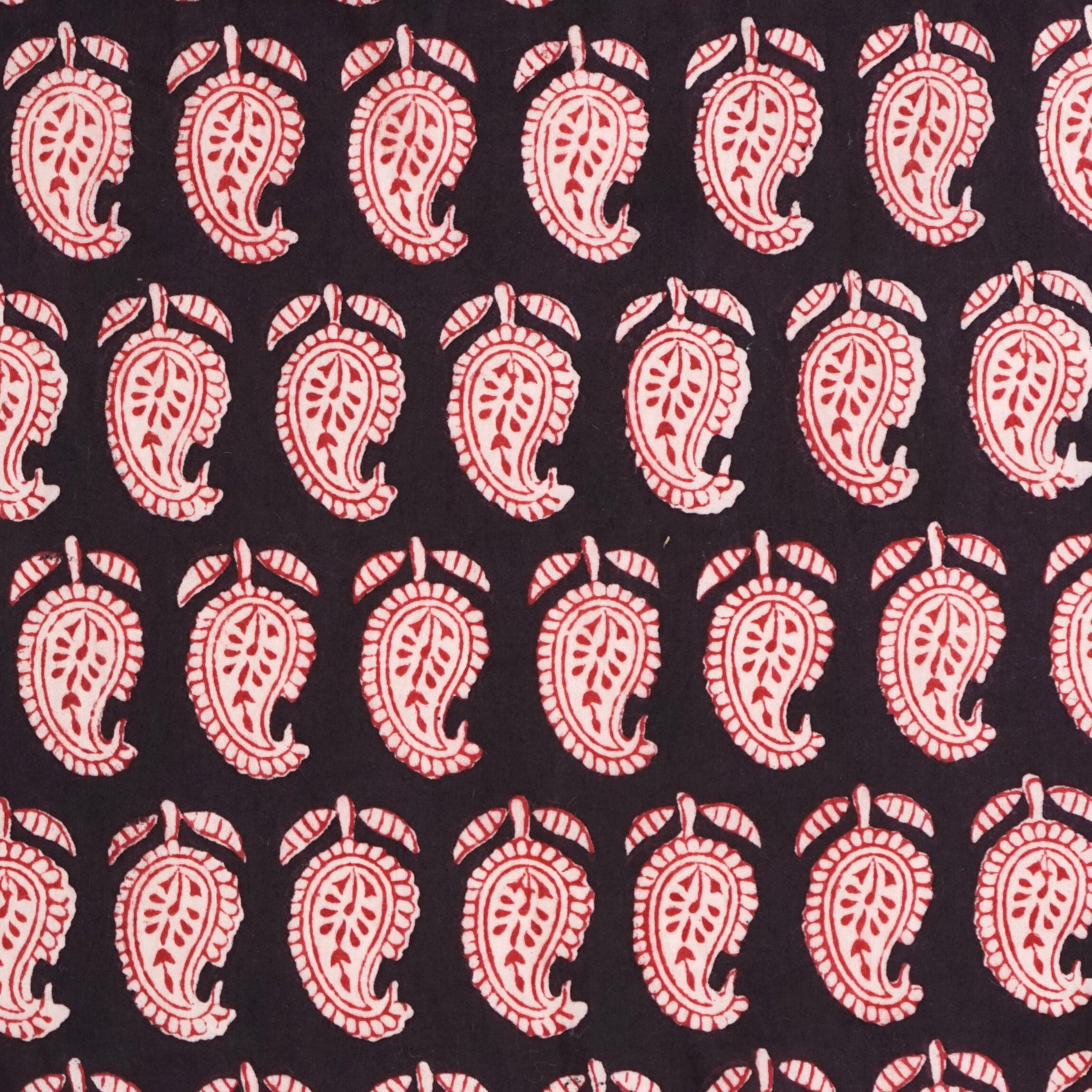 100% Block-Printed Cotton Fabric From India - Cactus Design - Iron Rust Black & Alizarin Red Dyes - Flat