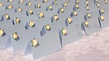 Baby pastel blue rose place cards