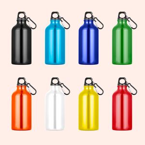 Coloured carabiner metal  promo drinks bottles