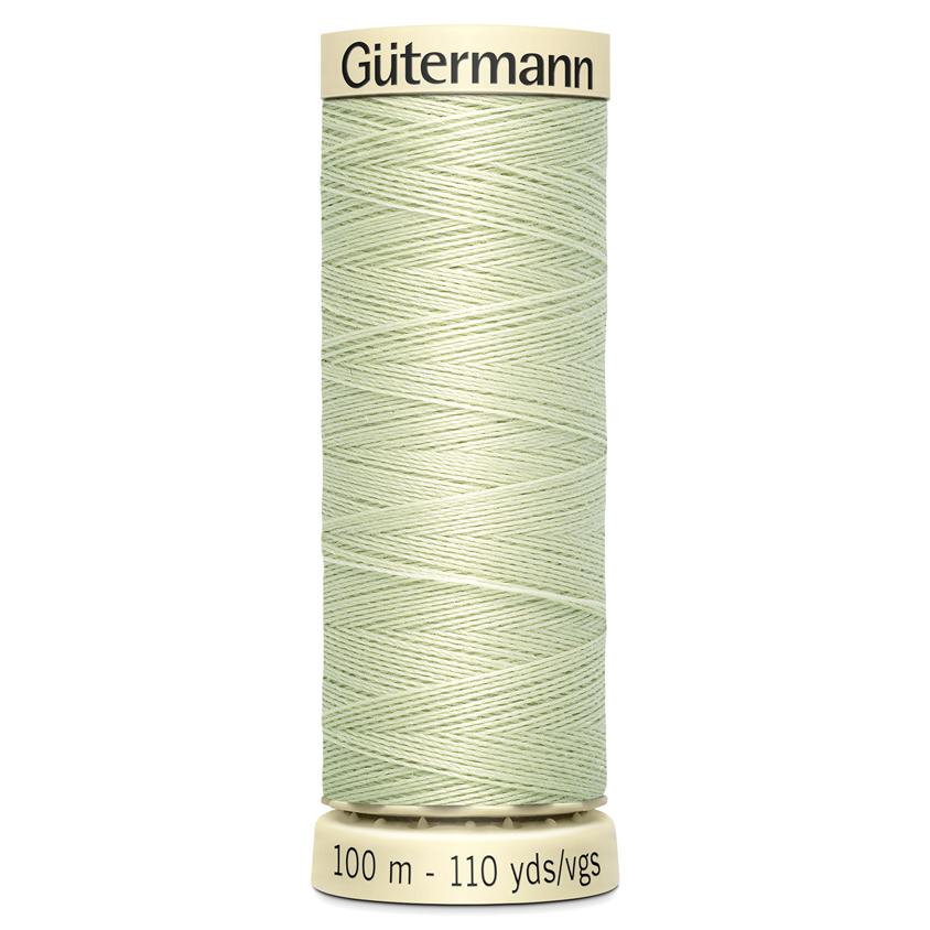 Gutermann Sew-All Thread Colour 818