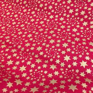 Christmas Spiral Star Fabric
