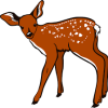 Deer/ Venison