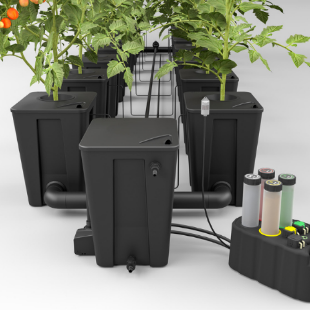 Advantages of Hydroponic Cannabis Growing