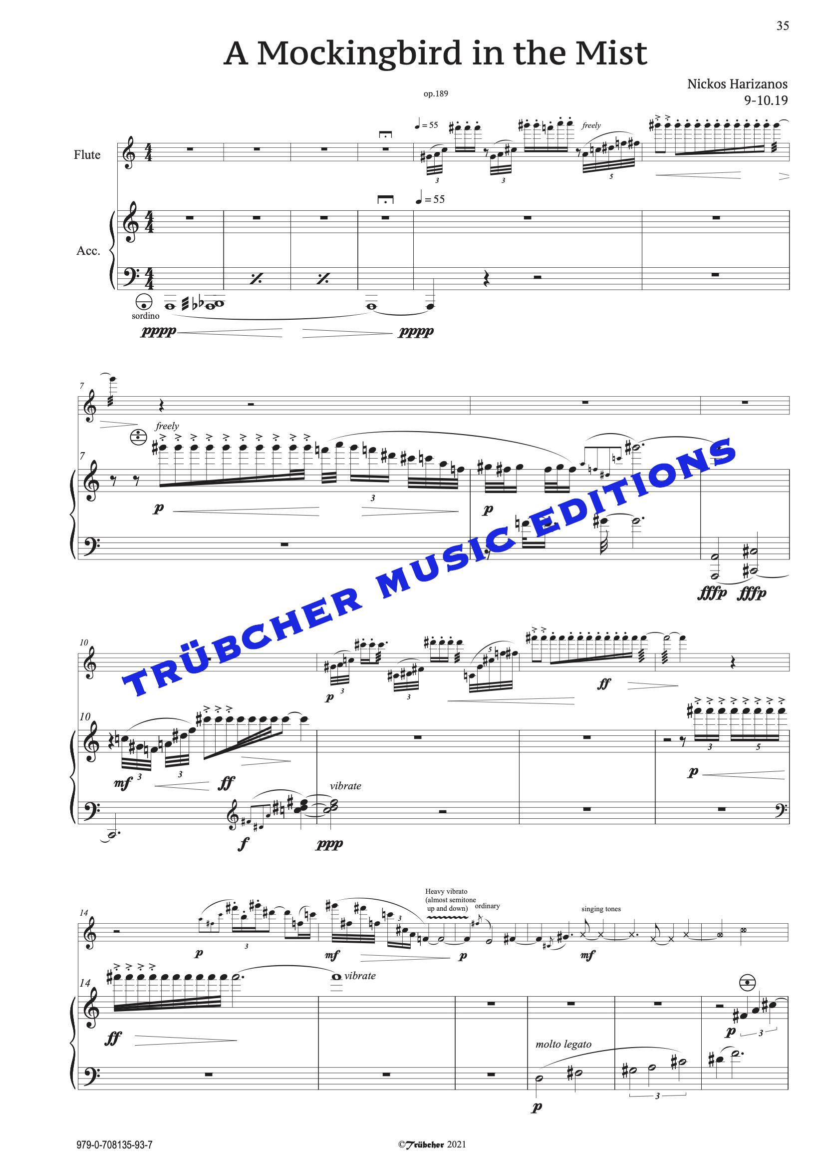 flute & accordion sheet music