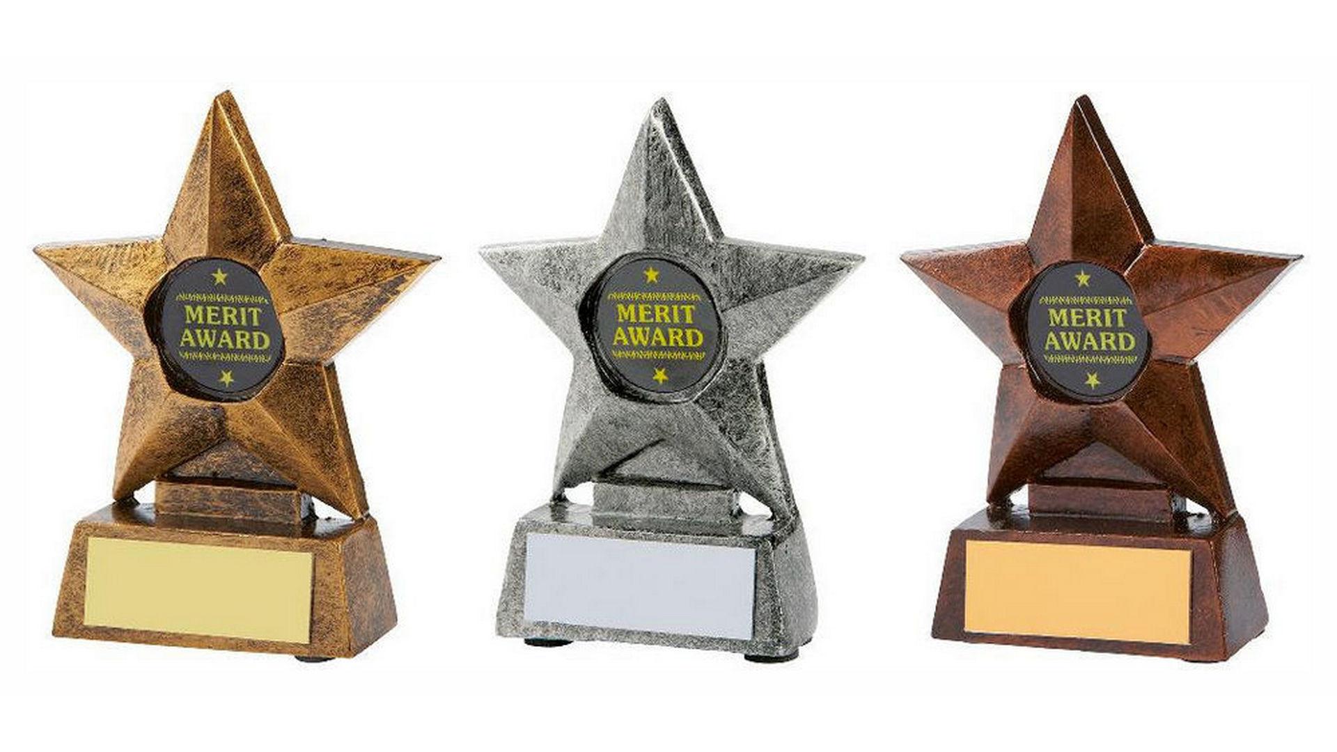 Multi Achievement Awards