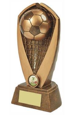 Heavy Football Award