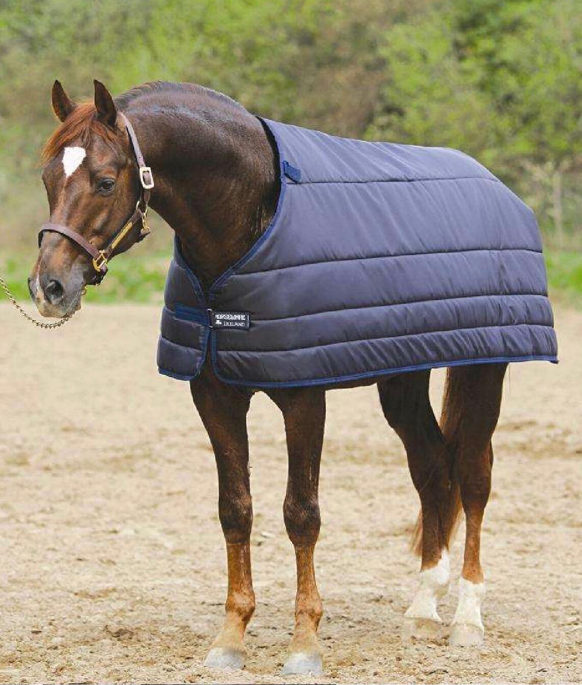 HORSEWEAR 300G LINER 300G HEAVY RUG