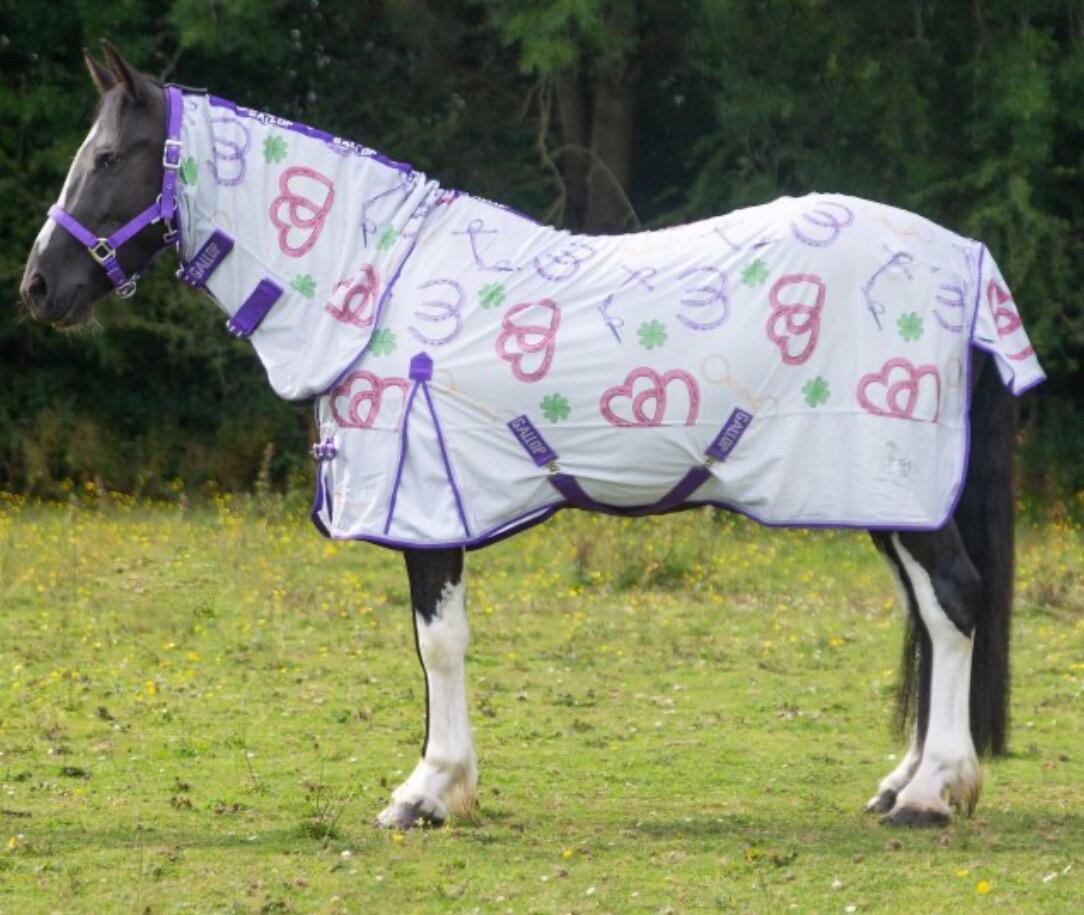 Horse Rugs Fly & Sweet-Itch Rugs | O'Briens Saddlery & Country Clothing