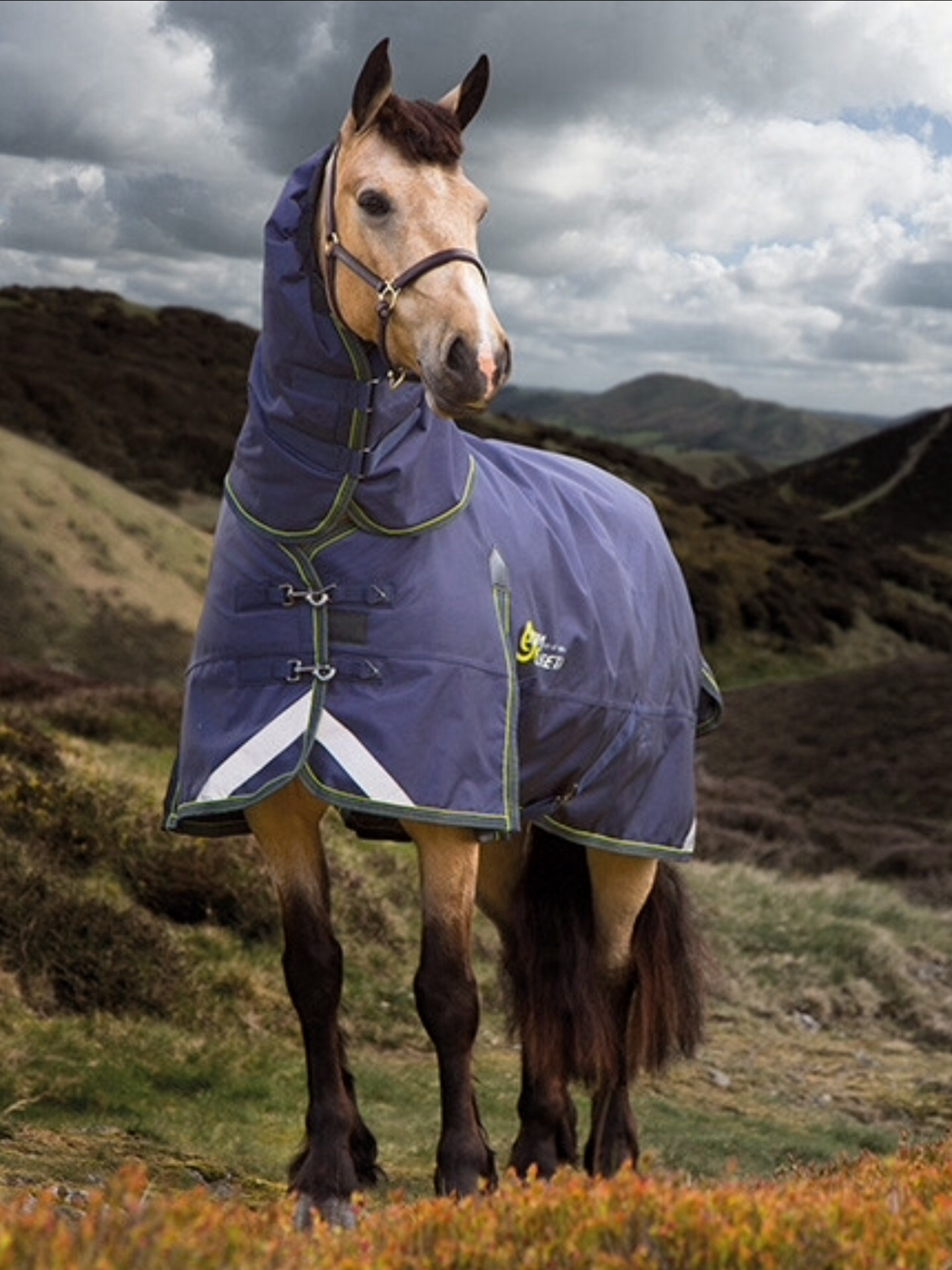 SHIRES STORMCHEETA 1680d 300g Combo Turnout with Cocoon Neck