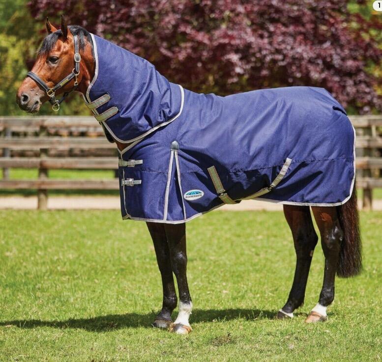 Weatherbeeta Comfitec Essential Detach-A-Neck 1200D 220G Turnout Rug