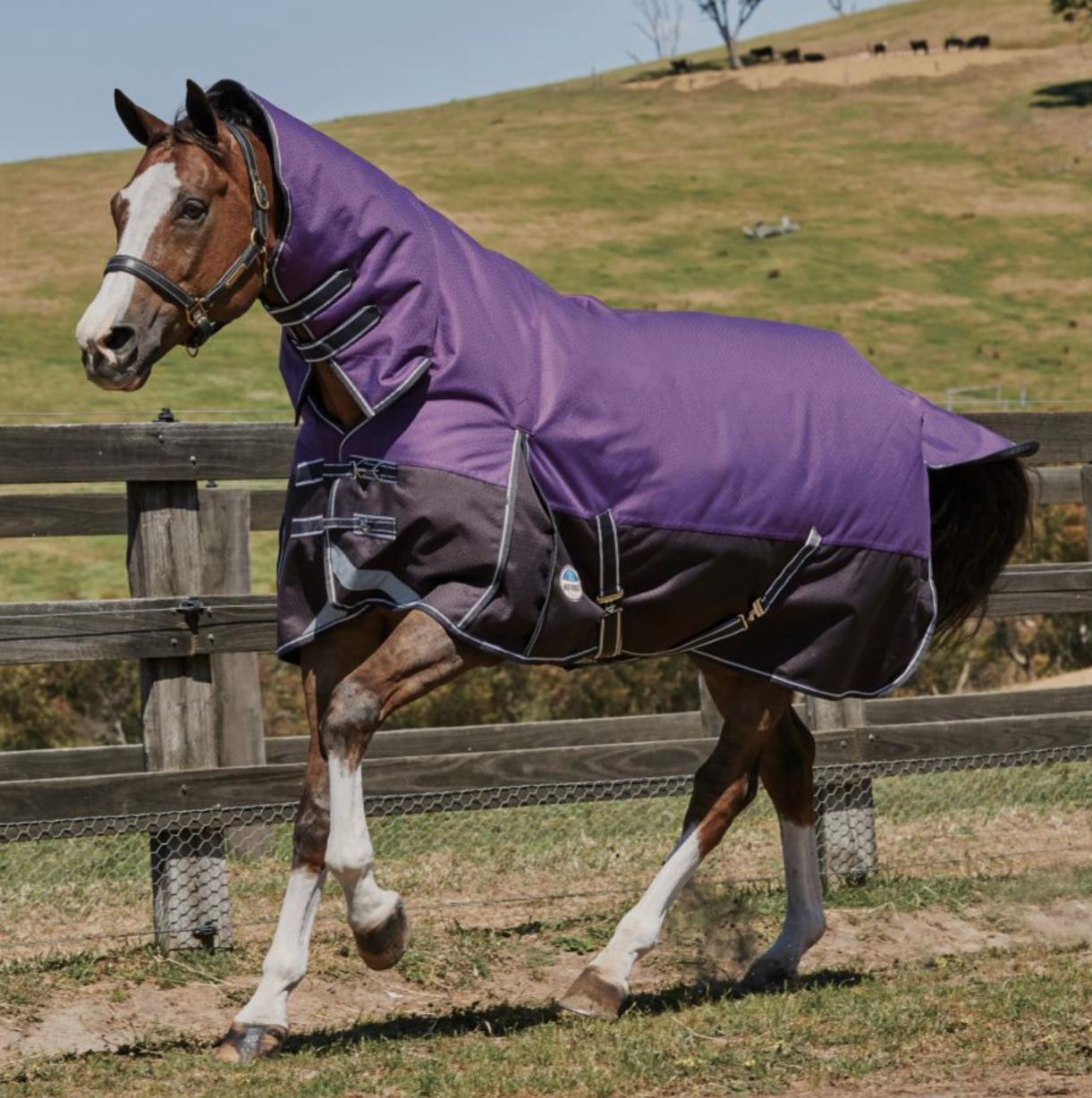 Tapis D'écurie Weatherbeeta Belmont – Taille 6'9", Combo, Occasion