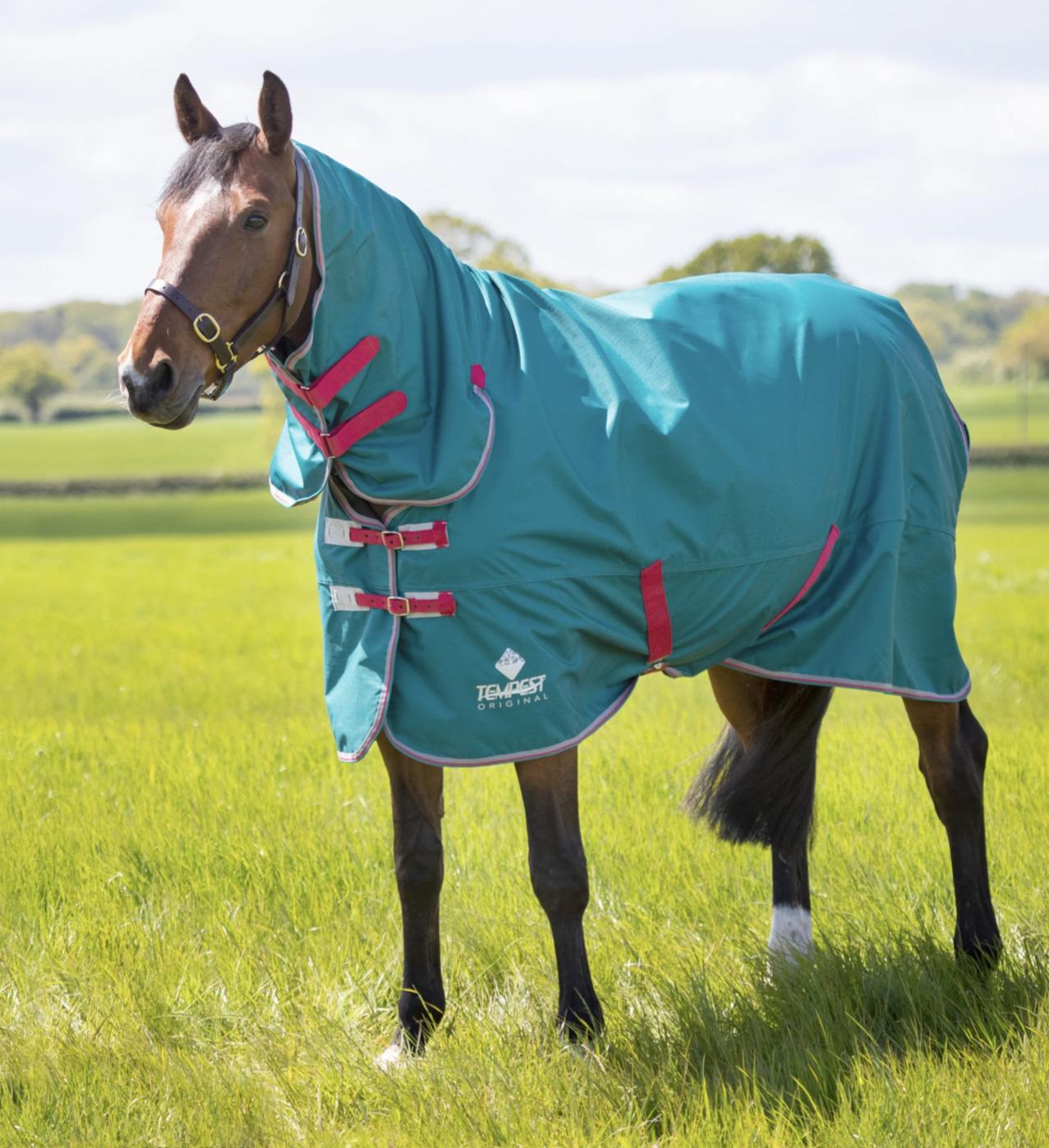 Couverture D'extérieur Shires Tempest Original 50 G – GS Equestrian