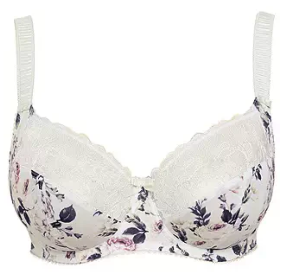 charlotte-ivory-bra.png