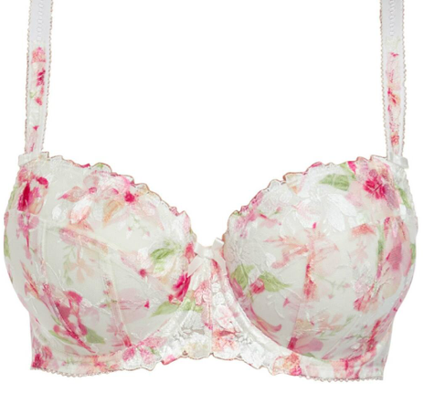 annelise-camelia-bra.png