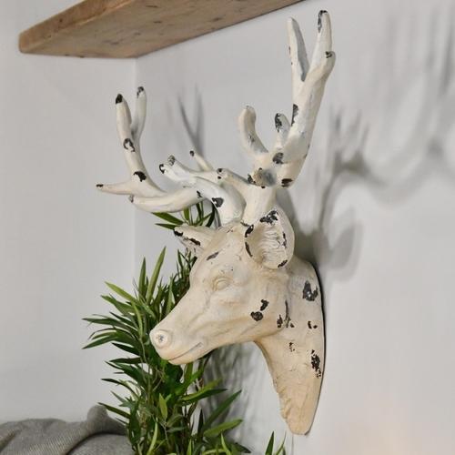 Shabby chic cream stag head mounted on a white wall, below a rustic wooden shelf and next to green leaves of a plant.
