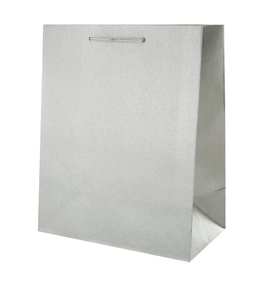 silver medium gift bag