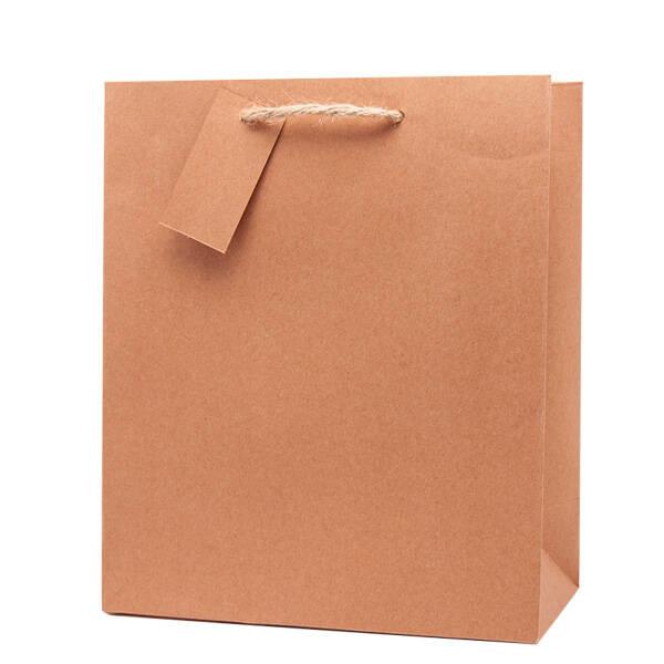 Paper Carrier Bags, Next Day Delivery
