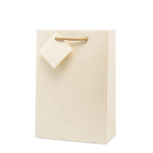 ivory gift bag