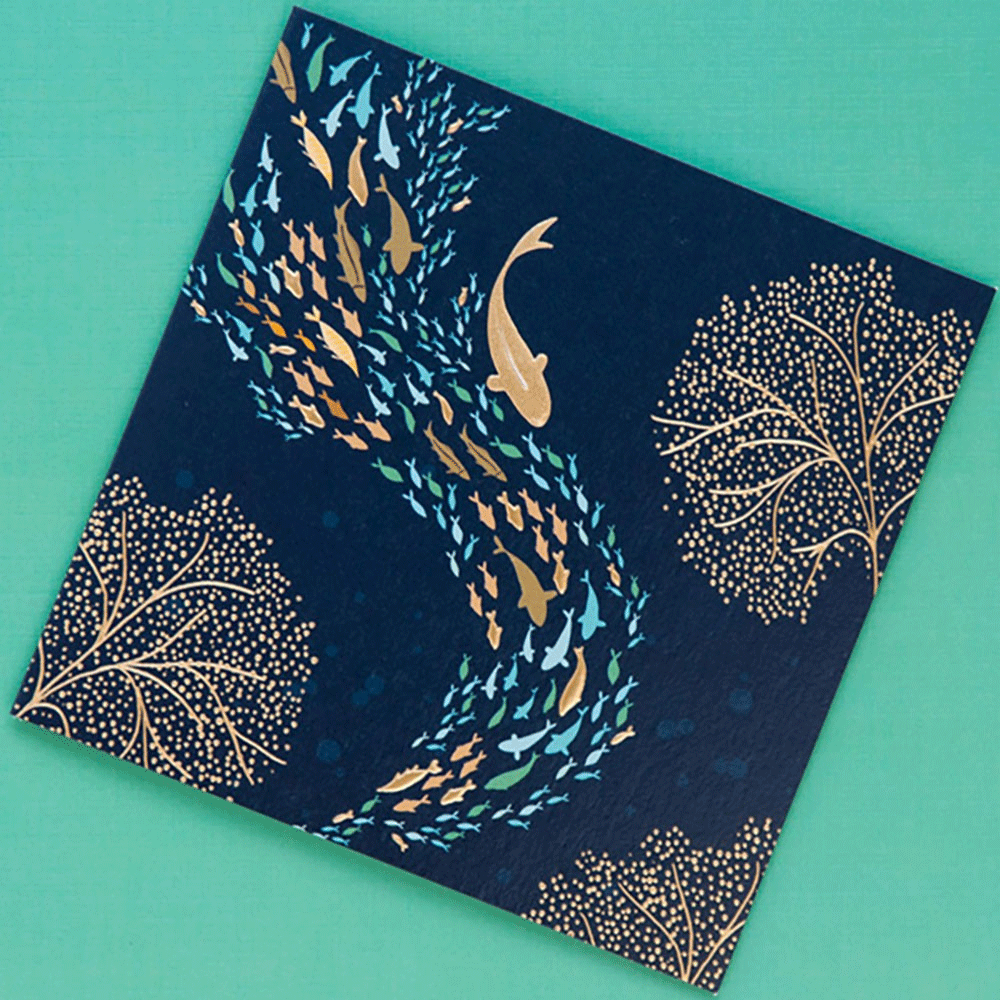 fish birthday card