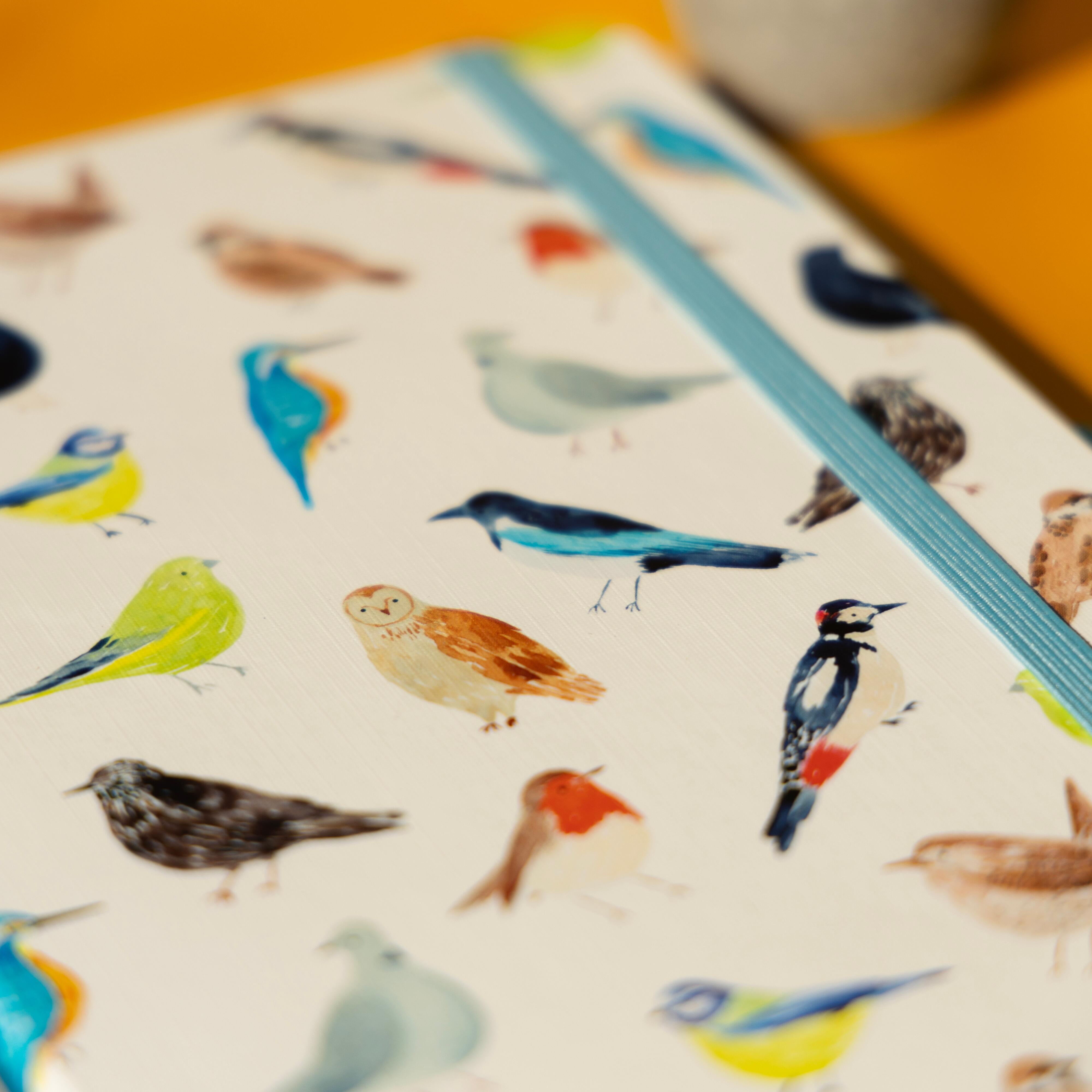 birds notebook
