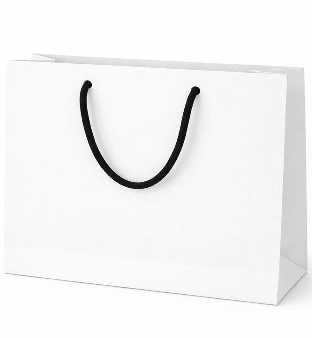 large white landscape gift bag